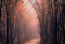 热议国足0-2告负：得失球比哇凉哇凉，迪拜两周练了啥.