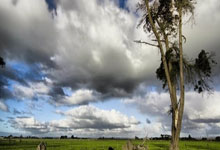 3天和海豹突击队训练16次！利拉德的训练强度有多大？.