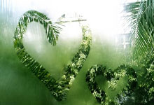 多多28官网：西媒：特尔施特根想尽快复出踢欧冠决赛，但他的.