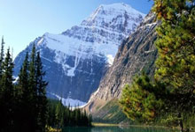 国家体育总局局长：坚决抵制“饭圈文化”的侵蚀破坏2025-03-12.