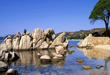 A史密斯最新回应：詹姆斯就是个两面派是个骗子，他敢动手我会立即挥拳反击.